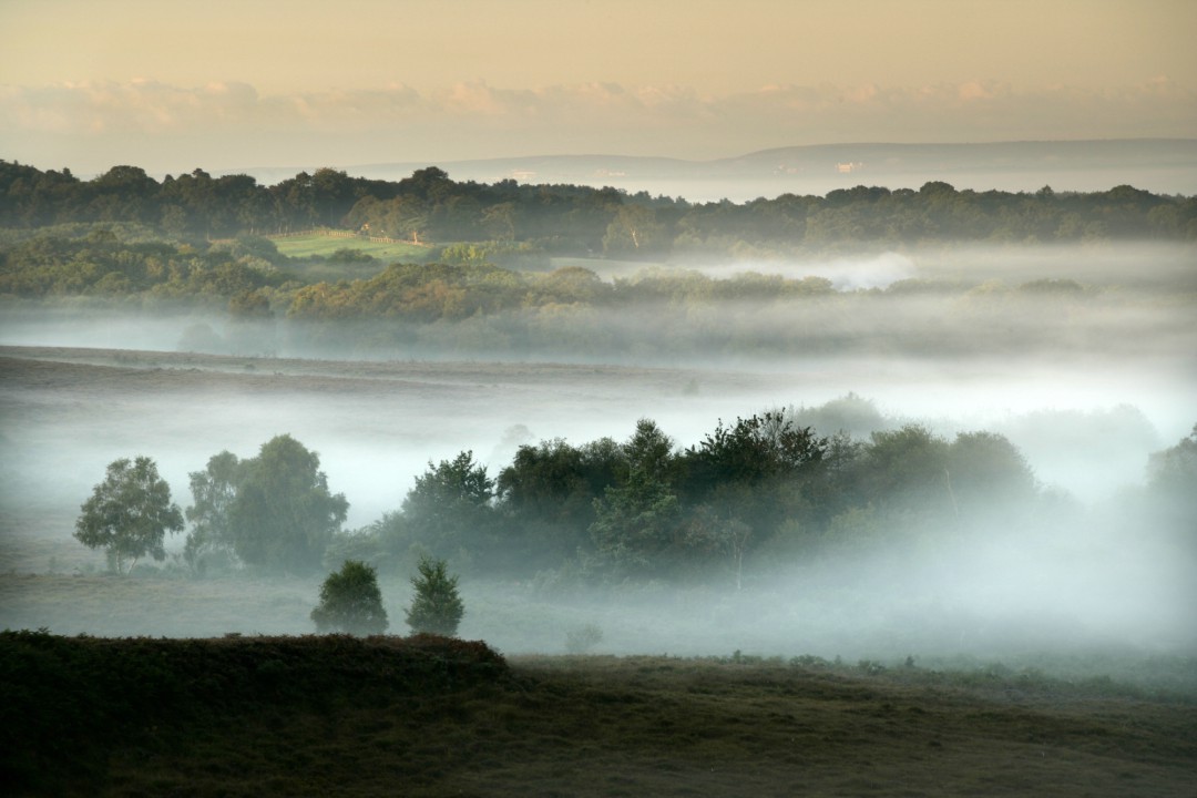 A misty view over the gorgeous New Forest outside of Bournemouth