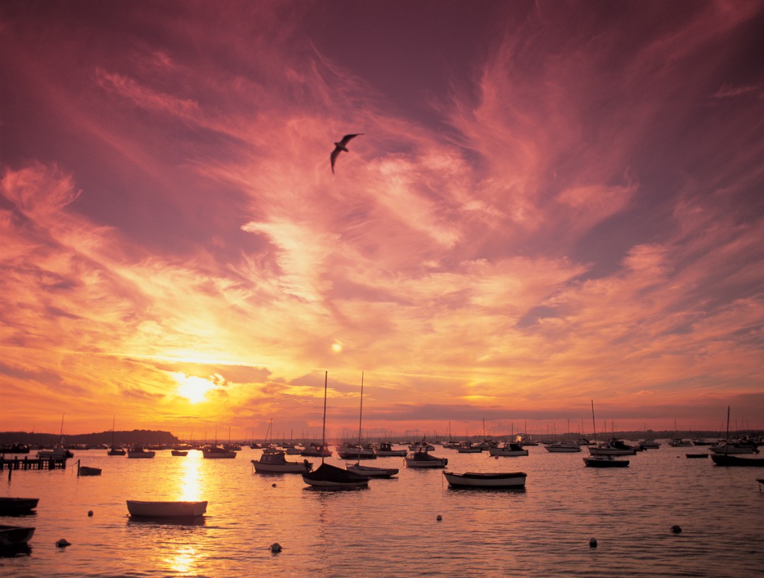 A sunset over bobbing boats in Poole Harbour on a calm evening