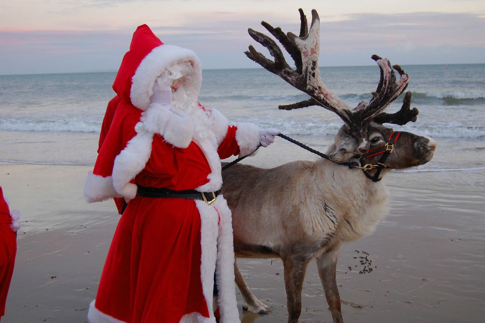 Santa Claus on Poole beach with a healthy reindeer and a dusky sky