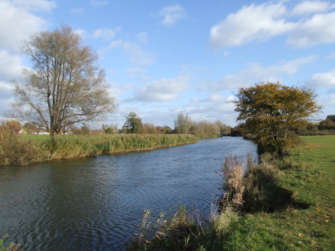 Bournemouth's Stour Valley river and grassland